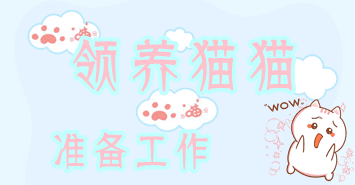 宠物猫领养注意事项