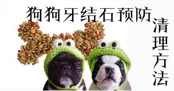 狗狗牙结石清理方法是什么