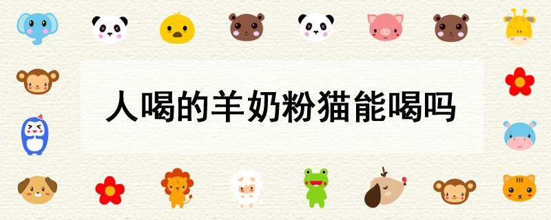 人喝的羊奶粉猫能喝吗