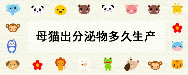 母猫出分泌物多久生产