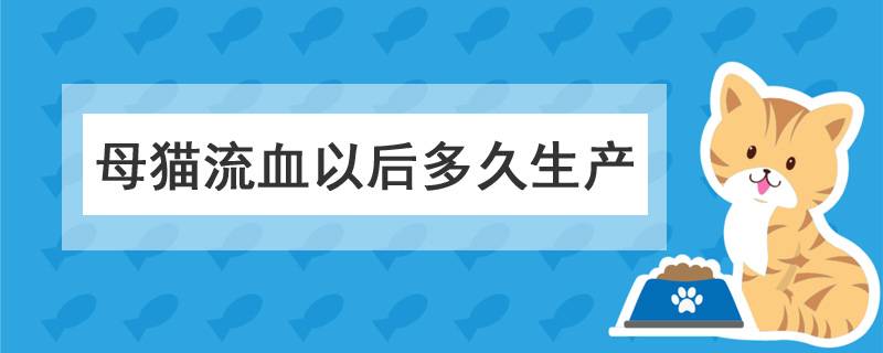 母猫流血以后多久生产
