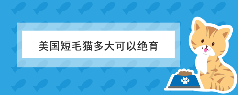 美国短毛猫多大可以绝育