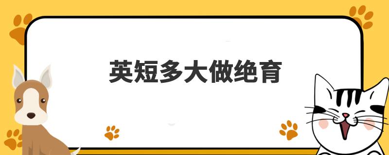 英短多大做绝育